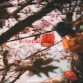 Various Artists - FRIENDS