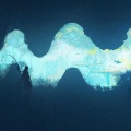 苏墨白、赤夕、药匙墨KITORA、欧阳仙笙 - 幻境