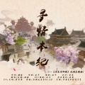 柏凝 - 寻情本纪 (纯歌版)