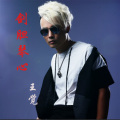 王觉 - 剑胆琴心