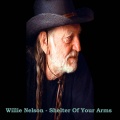 Willie Nelson - Blame It On The Times