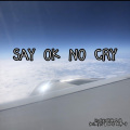 张驰同学 - SAY OK NO CRY