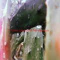 Michael Bolton - Time, Love And Tenderness (Complete version originally performed by Michael Bolton)