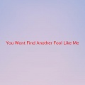 The New Seekers - You Won't Find Another Fool Like Me (Complete version originally performed by The New Seekers)