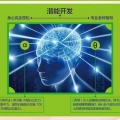 奇迹魔法记忆力 - 1.1阿尔法脑波音乐的介绍