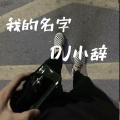 DJ小辞 - 我的名字 (咚鼓版)