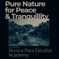 Musica Para Estudiar Academy - Little Droplets