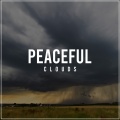 Water Ambience、Rainforest Sounds - Rain Designed for Sleep