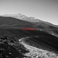 Brandi Carlile - The Story (Complete version originally performed by Brandi Carlile)