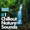 Elements of Nature - Beauty in Bird Song