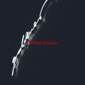 Tim McGraw - Refried Dreams (Complete version originally performed by Tim McGraw)