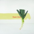 Mariah Carey - Open Arms