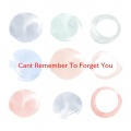 Various Artists - Can't Remember To Forget You (Complete version originally performed by Shakira feat. Rihanna)