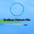 Nature Sounds、Backgrounds - Swampy Lands