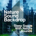 Sleep Songs with Nature Sounds - Little Wren