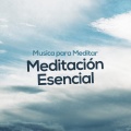Musica Para Meditar - Heaven is a Forest