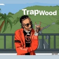 Desiigner、NONAME_Trapper、Lilwi33a - Trap night (Explicit)