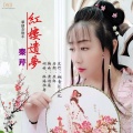秦芹 - 红楼遗梦