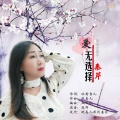 秦芹 - 爱无选择