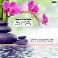 Meditation Spa - Birds Have Been Singing This for Years