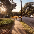Roa - HAYLEY