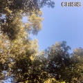 Roa - CRISIS (Explicit)