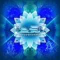 zen mechanics - Hallucination Generation