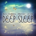Various Artists、Michael Silverman - La Nuit