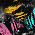 New Goon、J Gray - Views (feat. J Gray)(Explicit)