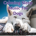 Relax My Dog - Music for Puppies