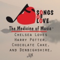 Jim Gaven - Chelsea Loves Harry Potter, Chocolate Cake, and Denbighshire, Uk