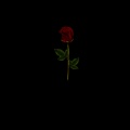 LBM - Worthless