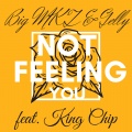 King Chip、Big MKZ、Gelly - Not Feeling You (Explicit)