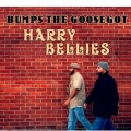 Bumps The Goosegot、EP - Windmills