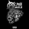 Lil Baby、Longlivejose - Rip Bankroll Fresh (Explicit)