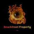 Fireye、Noah Reedy - Beachfront Property