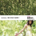 杨锦聪 - 夏夜晚风