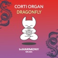 Corti Organ - Dragonfly