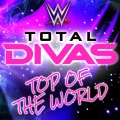 WWE (世界摔角娱乐)、CFO$ - Top of the World (Total Divas Theme Song)