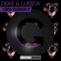 Deas - Visionary