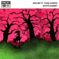 Bolier、Tiggi Hawke - White Rabbit (Original Mix)
