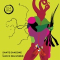 Sante Sansone - What's Going On
