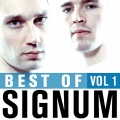 Signum - Solar Level