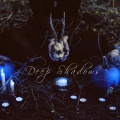 Zbot - Deep Shadows