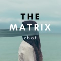 Zbot - The Matrix