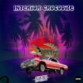 Weekend Warriors - Interior Crocodile