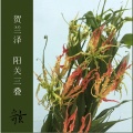 贺兰泽 - 阳关三叠