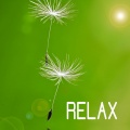 relax - Soundscape