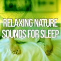 Deep Sleep Music Ensemble - Background Music Relax