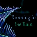 Healing Rain Sounds Academy - Sound of Falling Rain